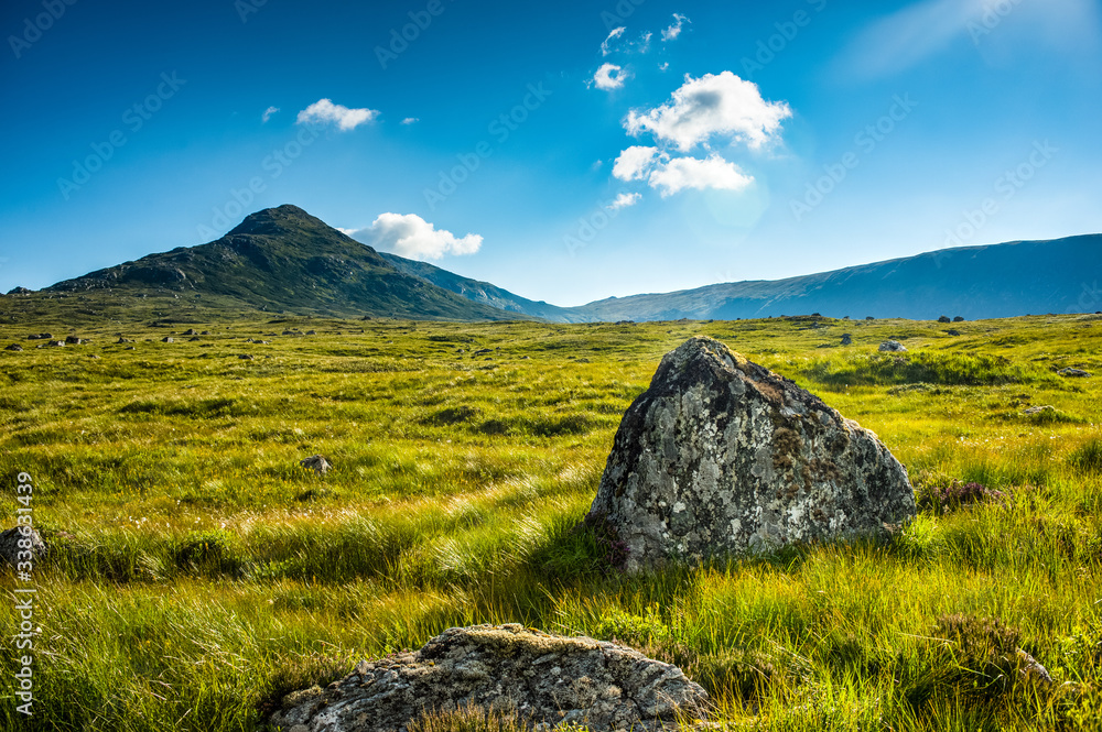 Foreground rock amidst backlit green grass and rolling hills