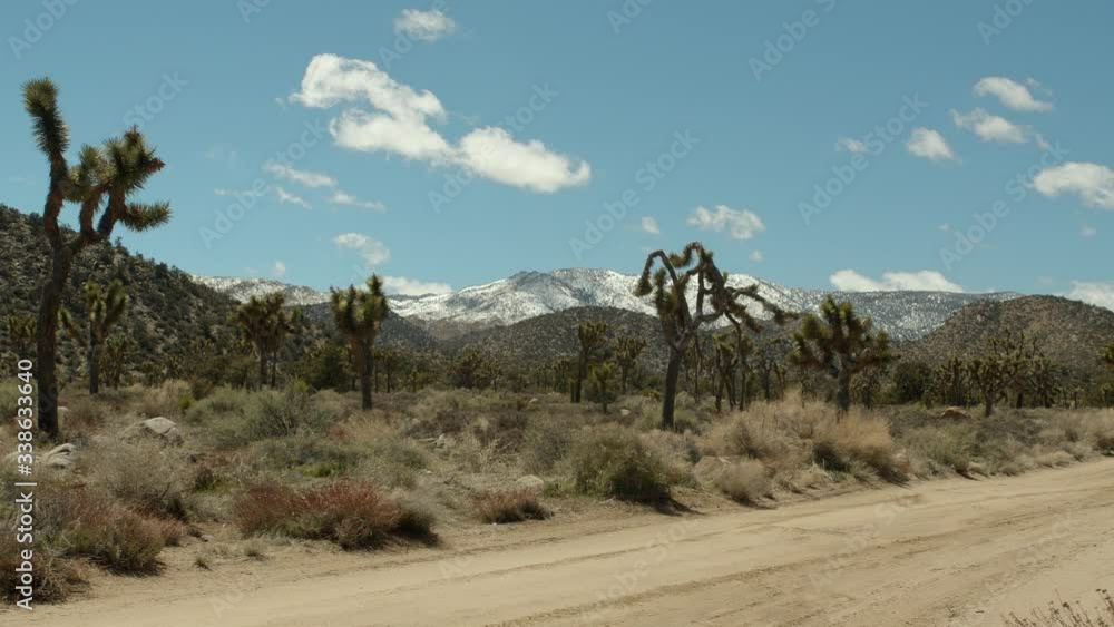 Joshua Trees Cloudy Mountain Snow Pioneer Town Joshua Trees Cloudy Mountain Snow Pioneer Town