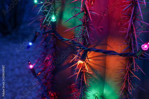 Christmas Lights on Saguaro Cactus at Night