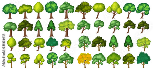 Big green trees on white background