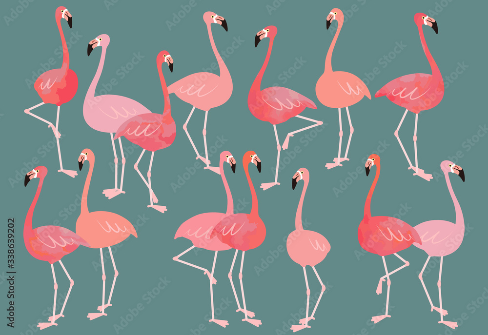 Fototapeta premium Flock of flamingos