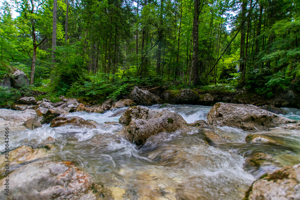 Zauberwald in Ramsau Zauberwald in Ramsau