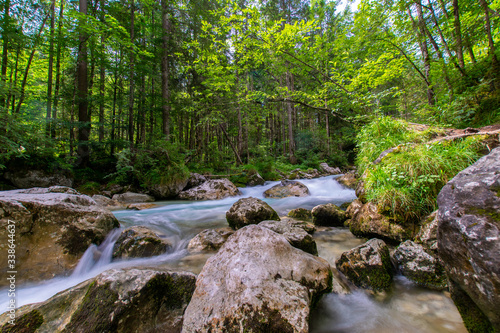 Zauberwald in Ramsau 