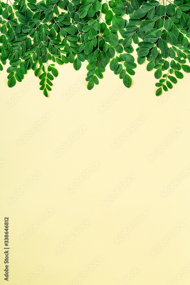 Fresh Moringa leaves (Moringa Oleifera) on yellow background with copyspace. Fresh Moringa leaves (Moringa Oleifera) on yellow background with copyspace.
