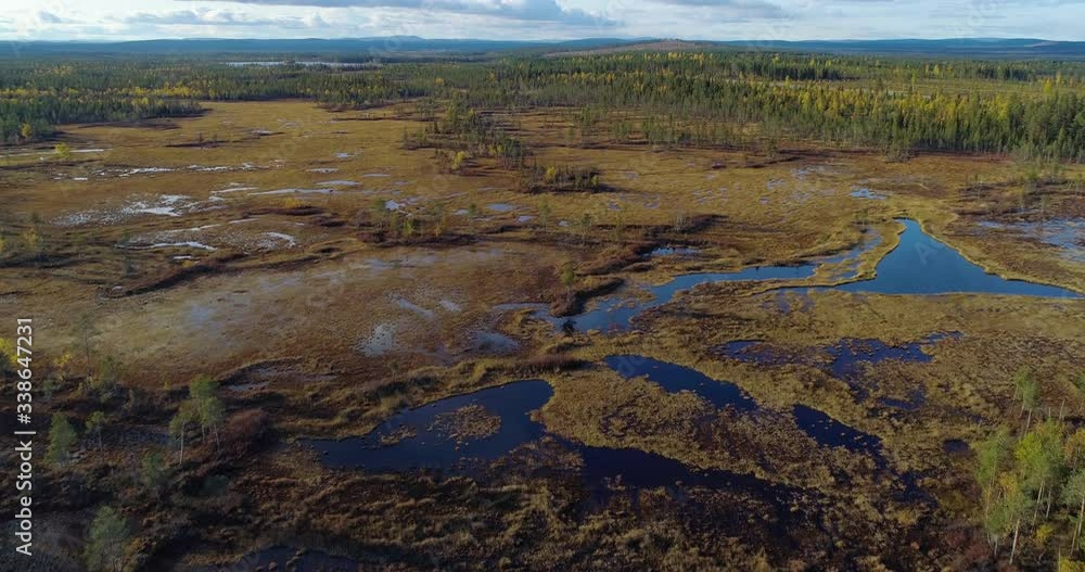 Arctic Lapland swamp, Aerial, rising, drone shot, over wetlands, bog and polar wilderness, sunny evening, in Lappland, Sweden Arctic Lapland swamp, Aerial, rising, drone shot, over wetlands, bog and polar wilderness, sunny evening, in Lappland, Sweden