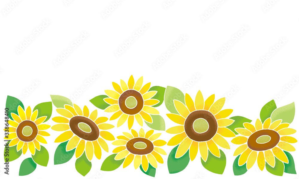 illustration of sunflower illustration of sunflower