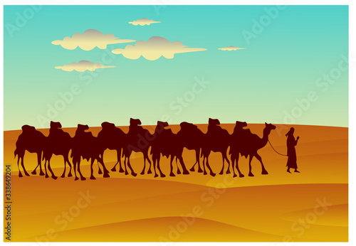 silhouette of camels in the desert