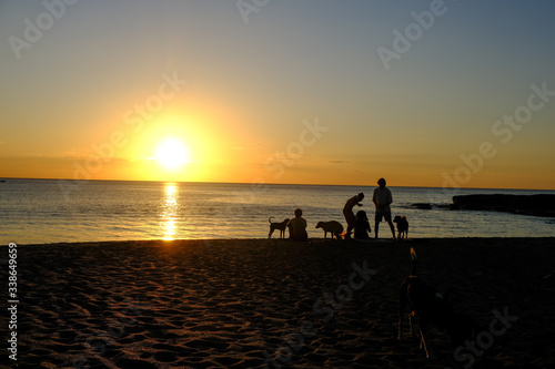 People and dogs on a beach © Alexis