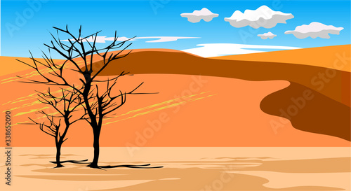 lonely tree in the desert
