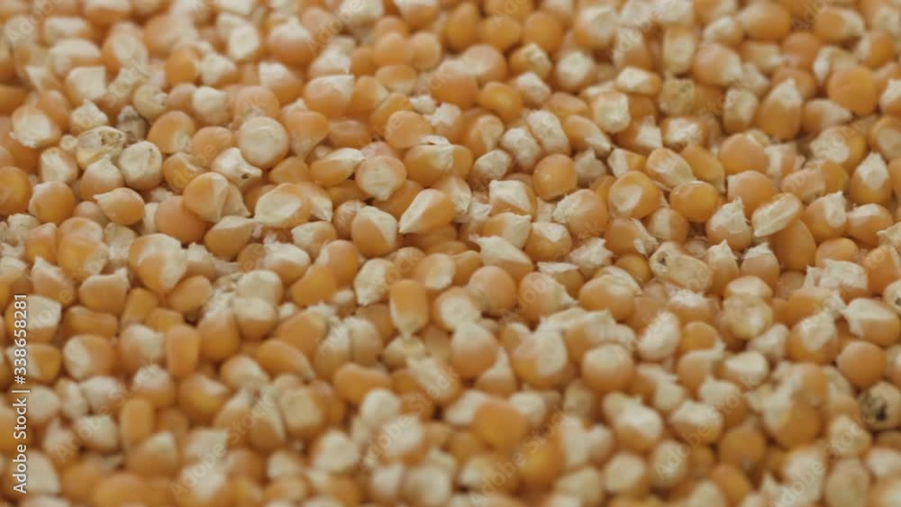 Close up of corn seed in a bulk bag, pan left. (HD) Close up of corn seed in a bulk bag, pan left. (HD)