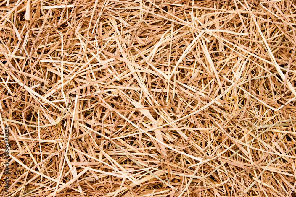 Straw surface texture. Cultivate and harvest concept.