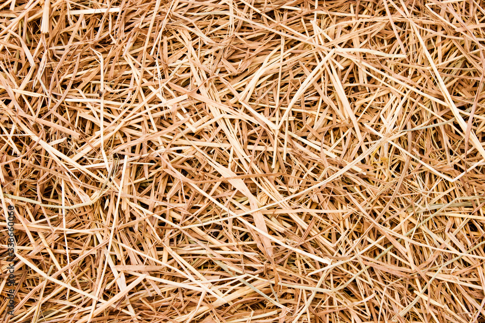 Straw surface texture. Cultivate and harvest concept. Straw surface texture. Cultivate and harvest concept.