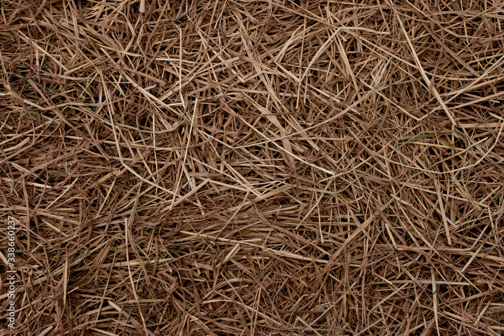 Straw surface texture. Cultivate and harvest concept. Straw surface texture. Cultivate and harvest concept.