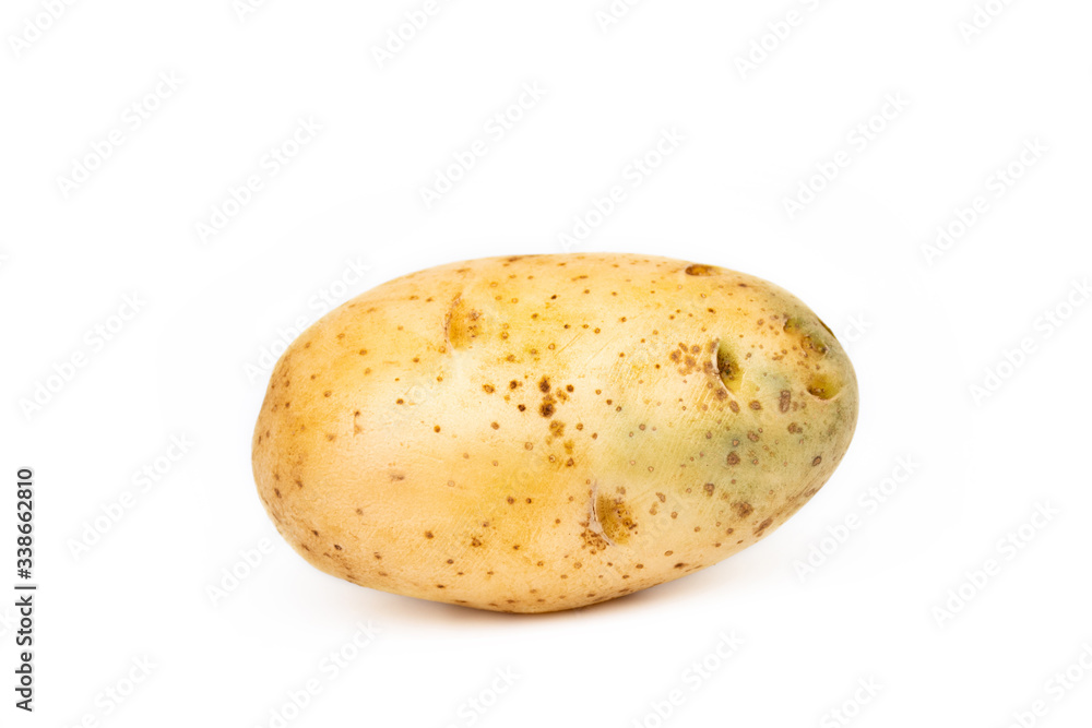Potato vegetable isolated on white background Potato vegetable isolated on white background