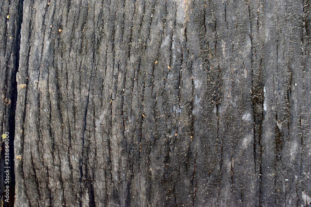 Old dark wooden nature background Old dark wooden nature background