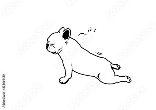 French Bulldog Yoga Fart Style. Relax time yoga exercise with little cute frenchie, he is humming his favorite song while stretching his back and then makes a fart suddenly.