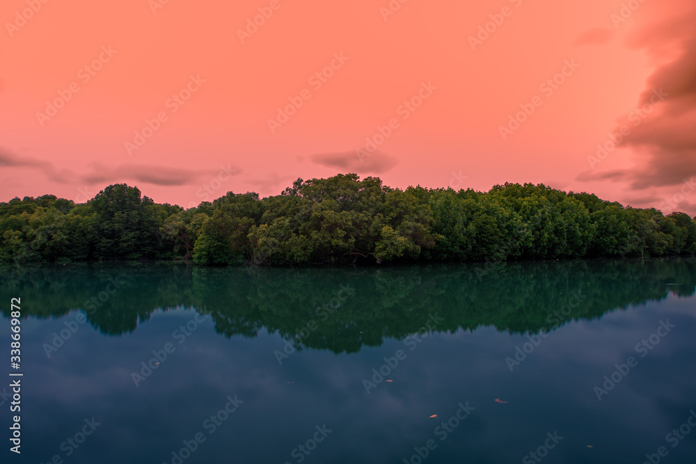 Nature wallpapers of trees (mangrove riverside) with blurred reflection, the atmosphere with the wind blowing through the cool fresh air while traveling