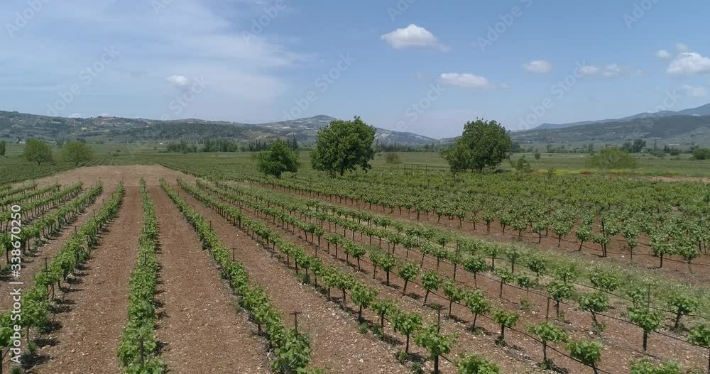 Beautiful drone shot view of earth fields and plant seed grass land in Greece in a sunny day Beautiful drone shot view of earth fields and plant seed grass land in Greece in a sunny day