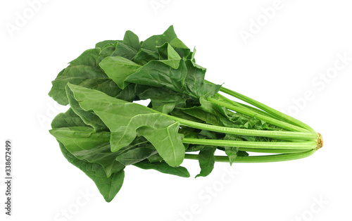 close up on fresh spinach isolated on white background