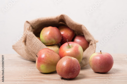 Cloth bag with apples. Burlap sack with rustic apples.