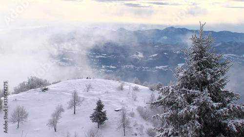Wallpaper Mural Winter scenery with snowy hills, spruce in foreground and haze passing by Torontodigital.ca