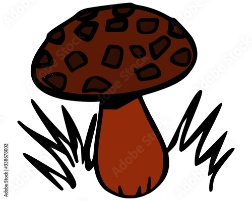 vector illustration of mushroom