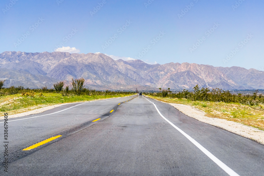 Naklejka premium Travelling through Anza Borrego Desert State Park during wildflowers spring season, south California