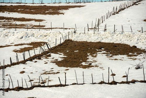 Wallpaper Mural wooden fences that separate the farmers' gardens Torontodigital.ca
