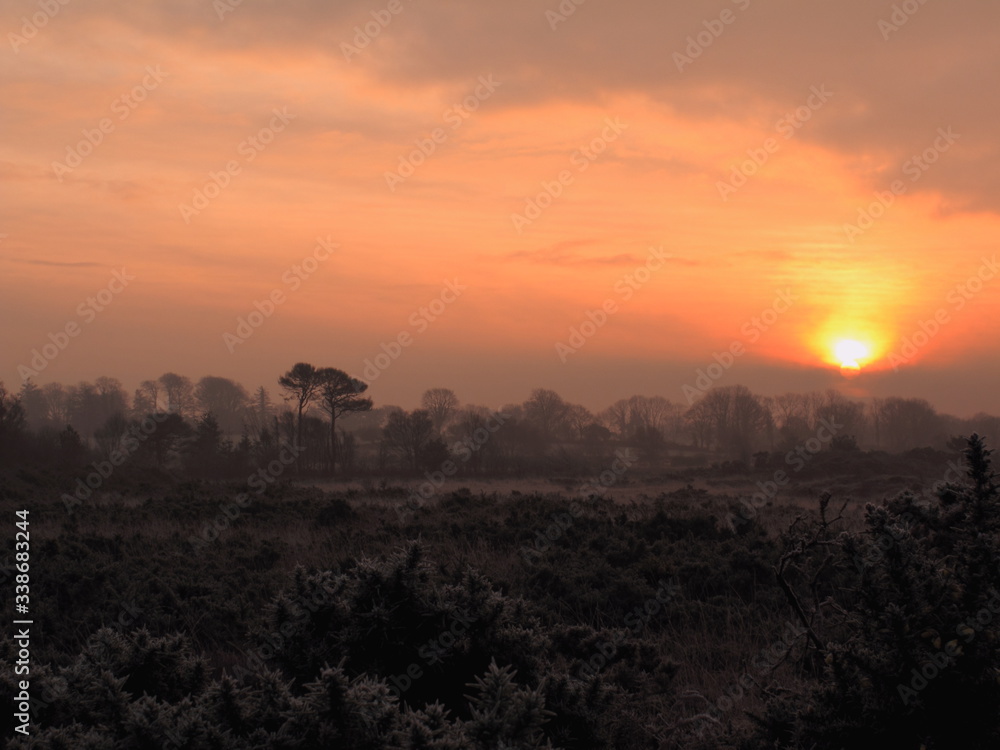 dark early morning irish landscape at sunrise, the sun rising above the horizon, trees and bog fileds, Connemara, Galway, Ireland