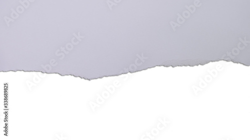 Light pastel purple torn paper with rough edge on white background with soft shadow