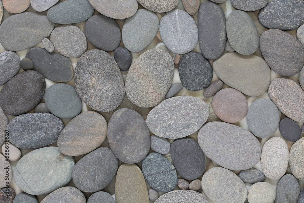 Smooth Grey Pebble Close Up Smooth Grey Pebble Close Up