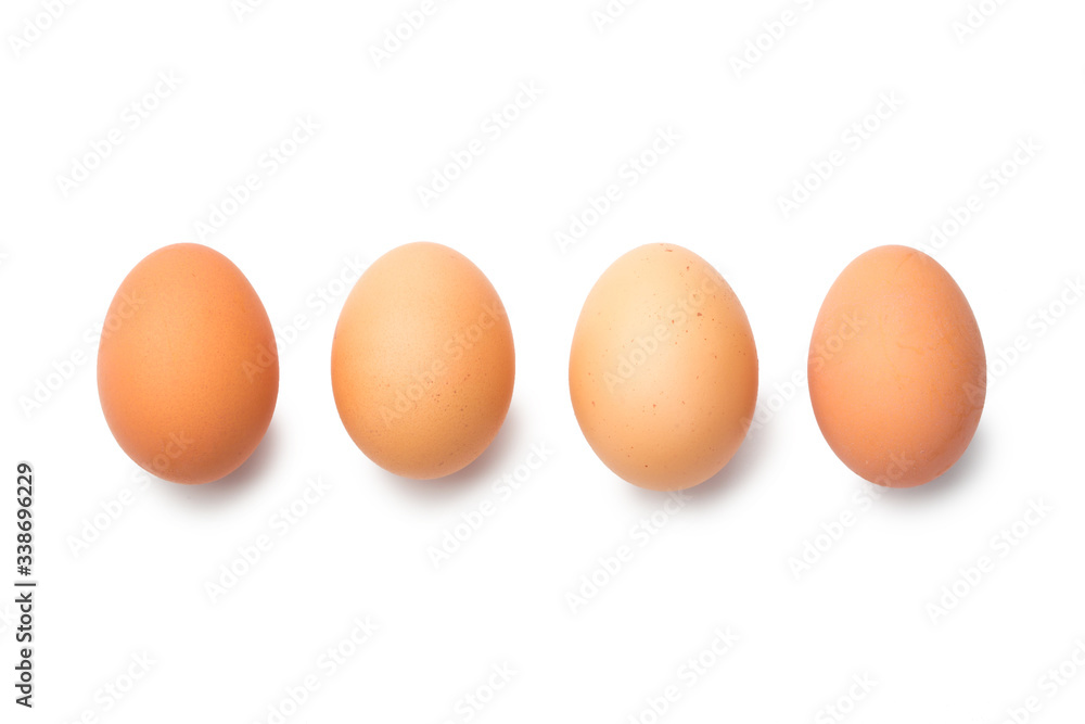 a lot of chicken eggs on a white background a lot of chicken eggs on a white background