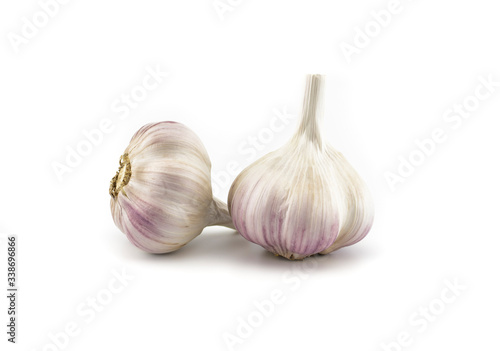 Garlic bulbs in close-up on white background