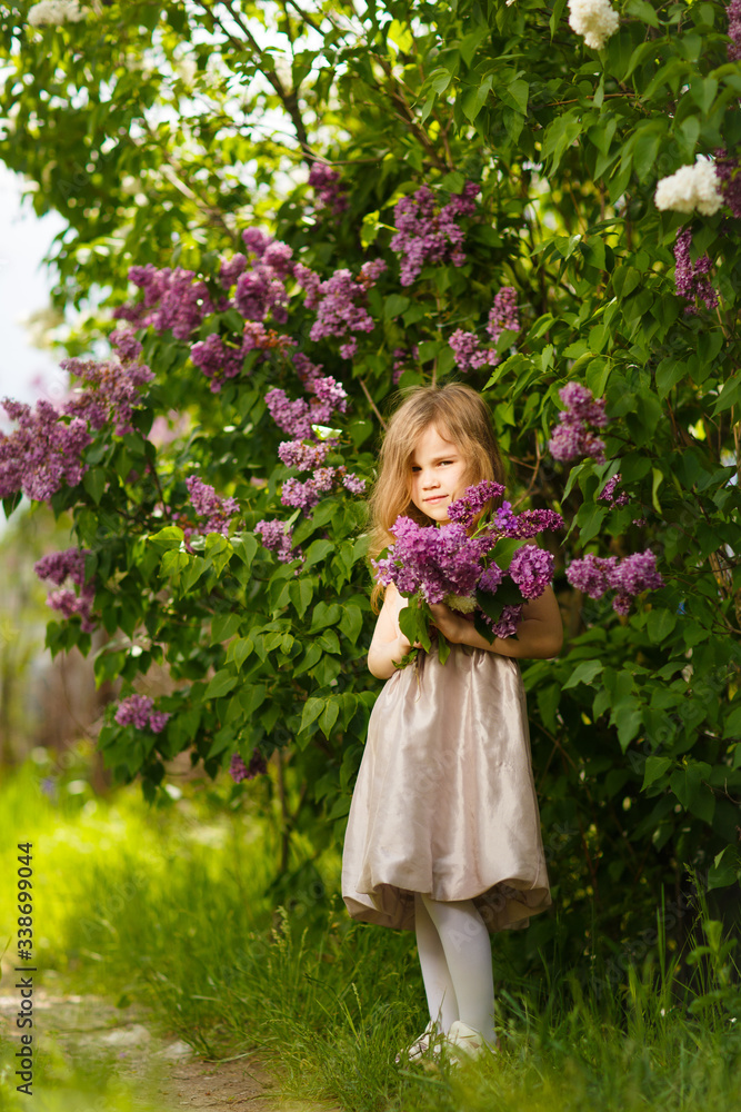 Fototapeta premium girl in a pink dress near a lilac flowers