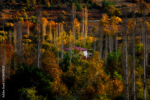 gaziantep forests in autumn
