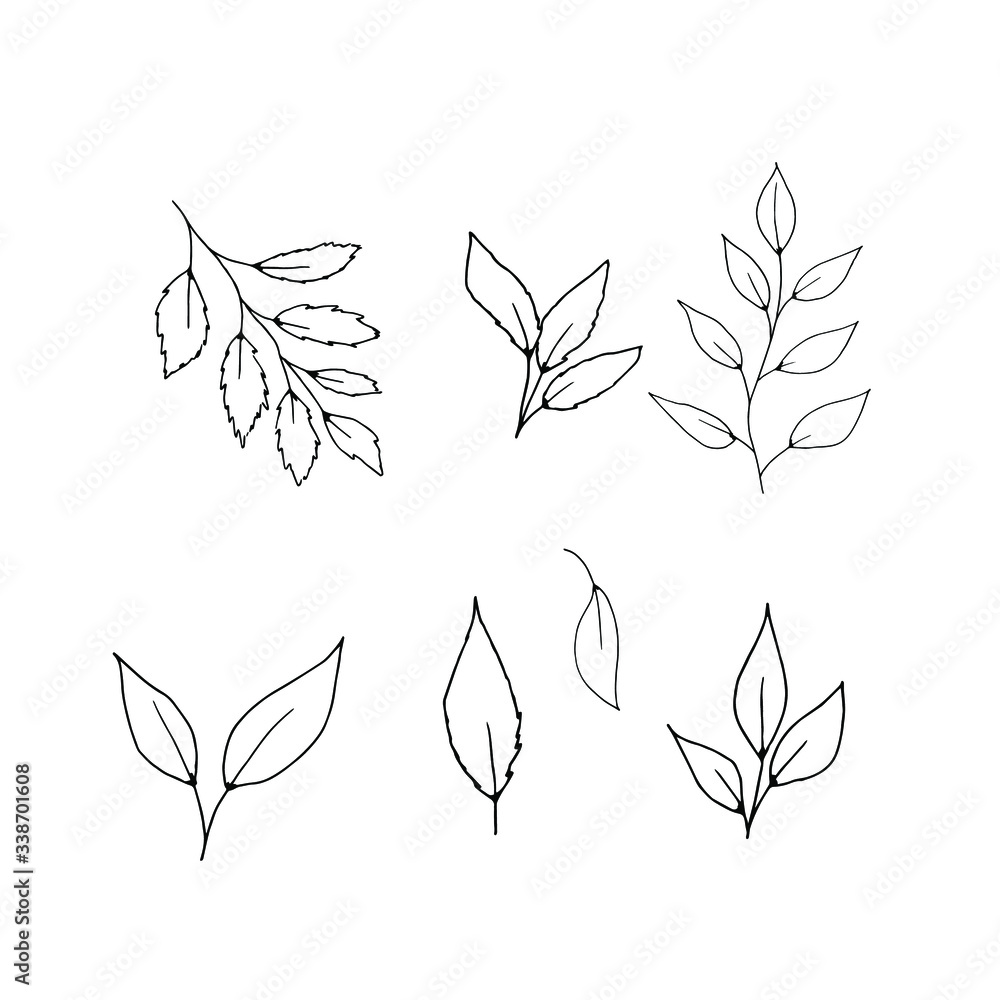 Foliage silhouette on a white background, vector botanical set.
For wedding design, greeting card, banner and logo. Foliage silhouette on a white background, vector botanical set.
For wedding design, greeting card, banner and logo.