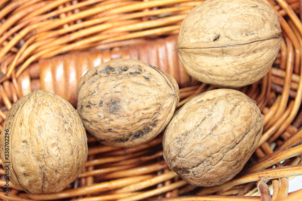 Ripe walnuts in a wicker basket are placed on a white background Ripe walnuts in a wicker basket are placed on a white background
