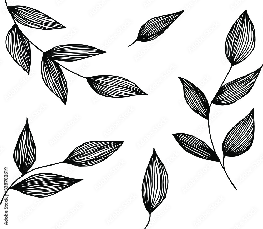 
Set of leaves in graphic style .Vector freehand drawing.