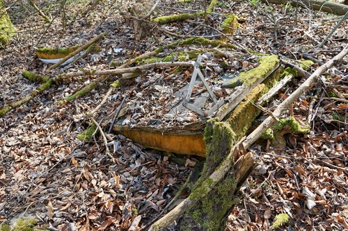 Umweltsünde -  Kaputtes Sofa im Wald photo