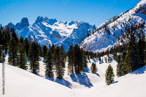 snowy peaks and pine trees with blue skies three