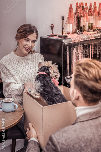 Smiling happy woman being gifted yorkshire terrier photo