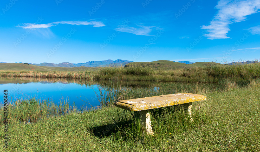 Beautiful summer landscape on the sunny morning with the bench on foreground
