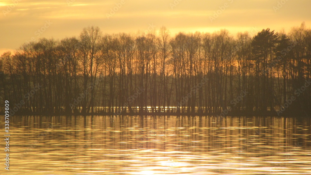 Trees Growing Over River Against Sky During Sunset