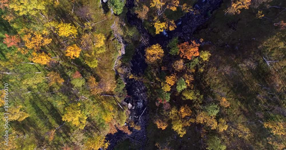 River in autumn forest, Aerial, top down, drone shot rising over a stream, surrounded by foliage trees, sunny, fall day, in Finnmark, Norway River in autumn forest, Aerial, top down, drone shot rising over a stream, surrounded by foliage trees, sunny, fall day, in Finnmark, Norway