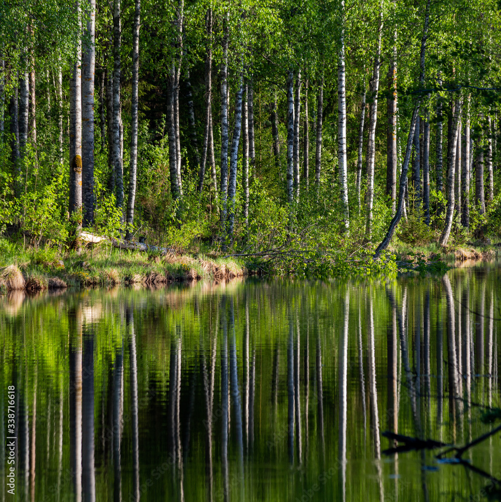 Reflection of a Finnish forest on a still river surface Reflection of a Finnish forest on a still river surface