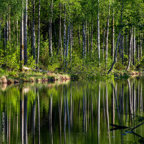 Reflection of a Finnish forest on a still river surface