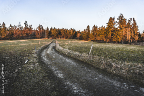 autumn landscape with road at goldden hour photo