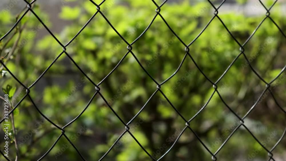 Grid on a background of nature. Isolation from society. Grid on a background of nature. Isolation from society.