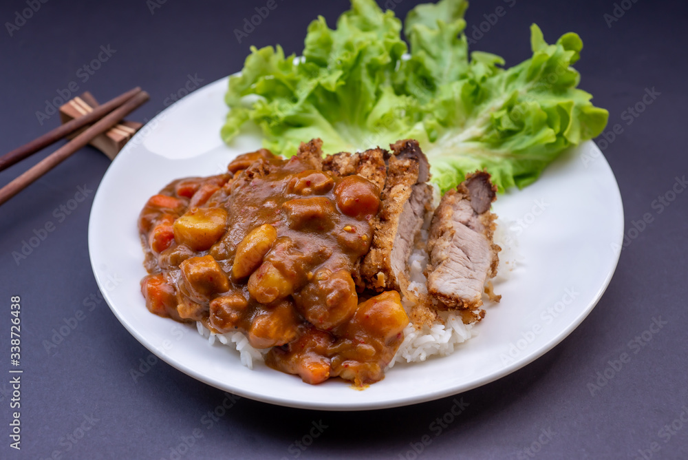 Rice with deep fried pork and curry in Japanese style. soft focus Rice with deep fried pork and curry in Japanese style. soft focus