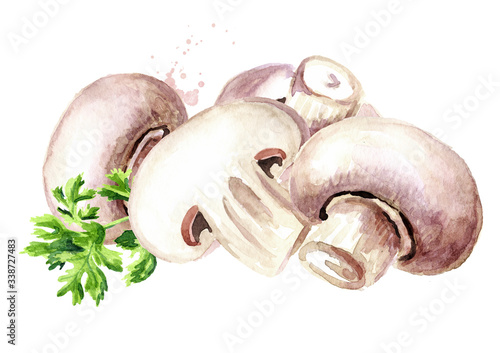 Fresh mushroom champignon  with herbs. Watercolor hand drawn illustration, isolated on white background photo